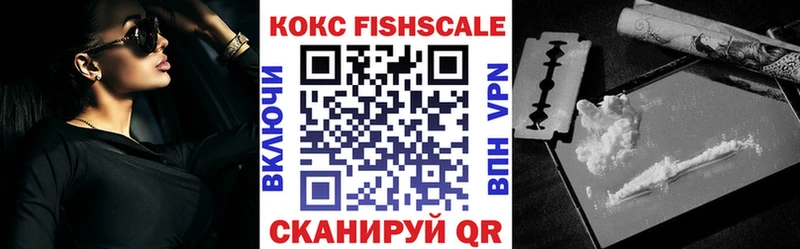 blacksprut зеркало  Инсар  Cocaine Fish Scale  закладки 