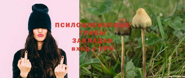 кокаин Алексин